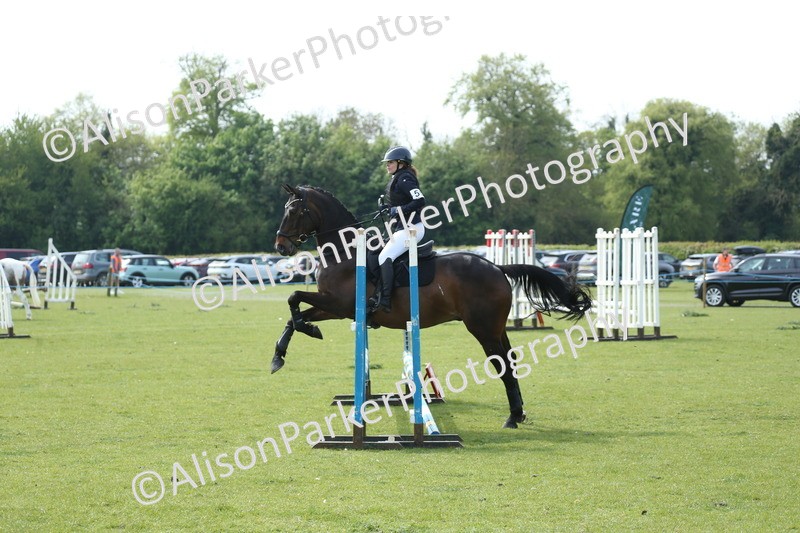 20260426-1708 - Class 14 - Novice 60cm