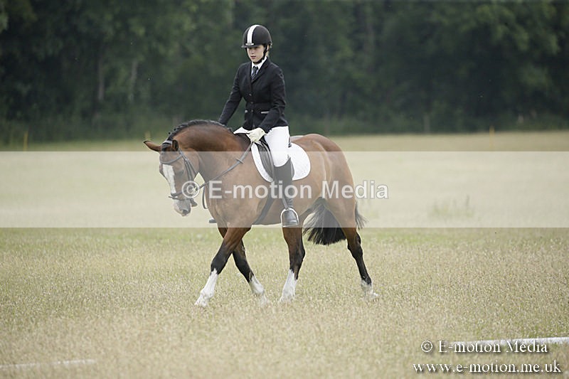 B230619-0659 - Bourne Valley Riding Club Summer Show 23/06/19