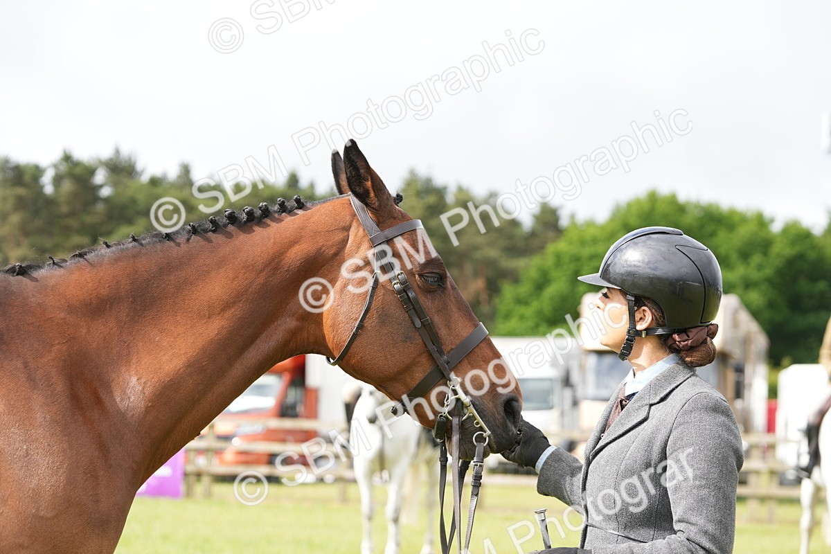 SBM_12771 - Class 97-98 - LIHS BSHA Rising Star Working Show Horse Hunter