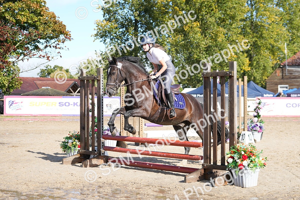 SBM_38211 - J6 - Junior Pony 55cm Championship