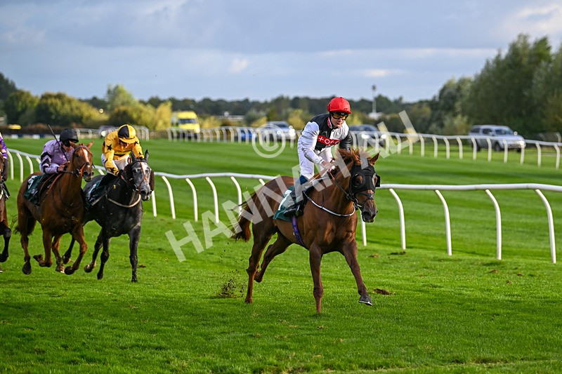 021024-Race 7-Bittalemon-9804 - Race 7