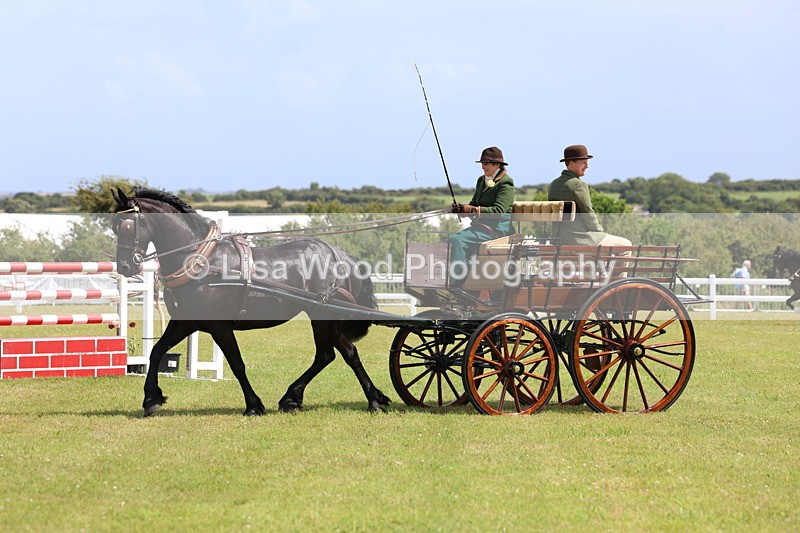 3E7A2730 - Class 12: Open Driving