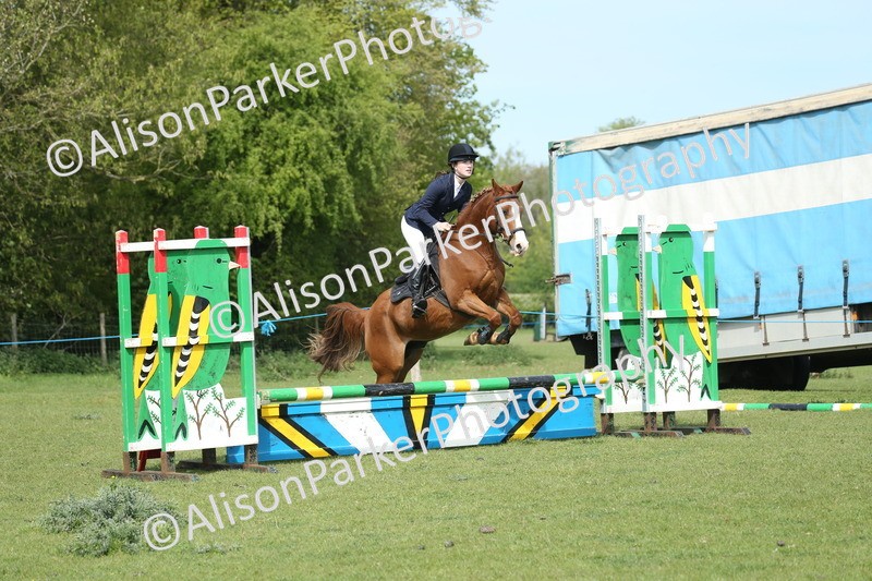 20260426-1496 - Class 14 - Novice 60cm
