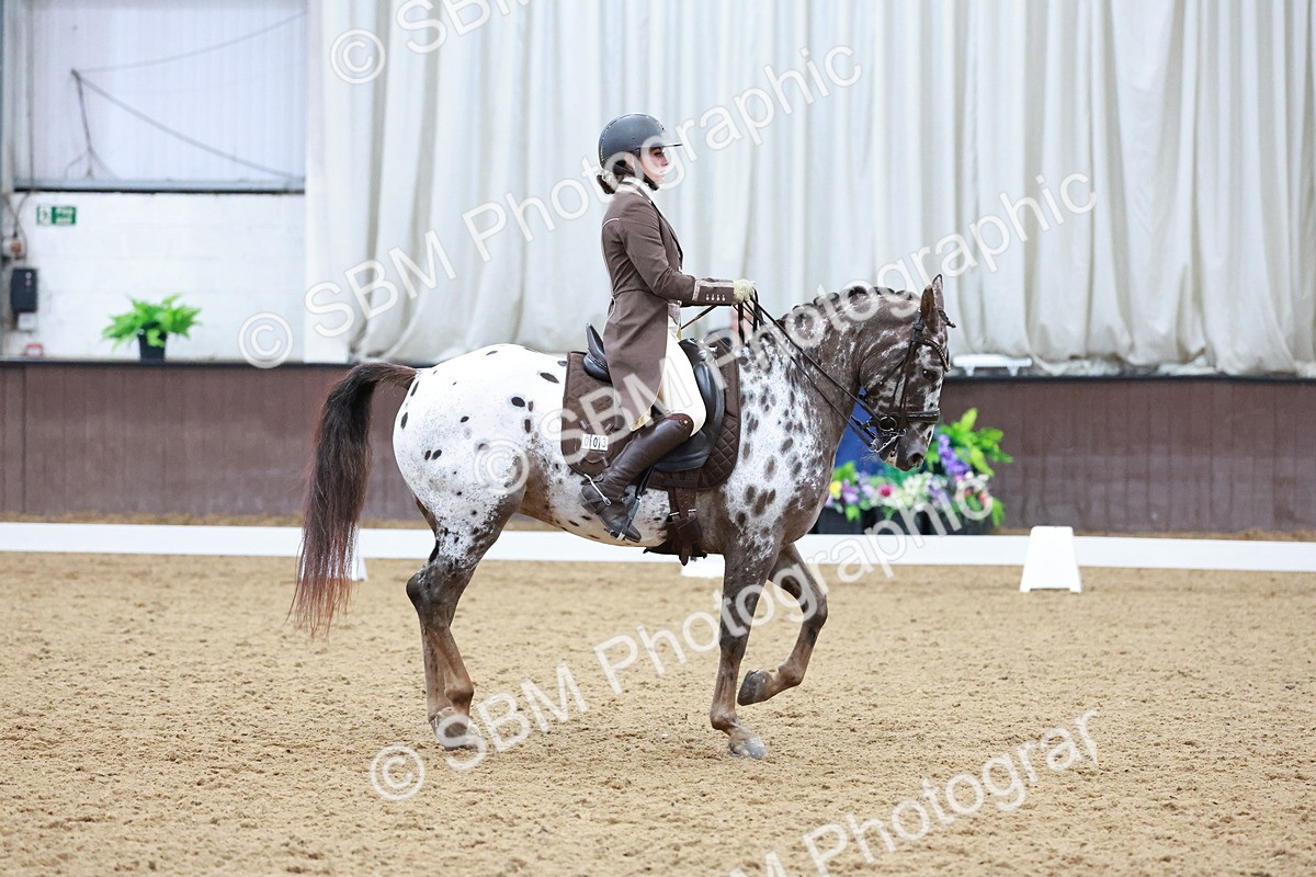 SBM_021413 - Class 14 - FEI Grand Prix - 17.40-18.34