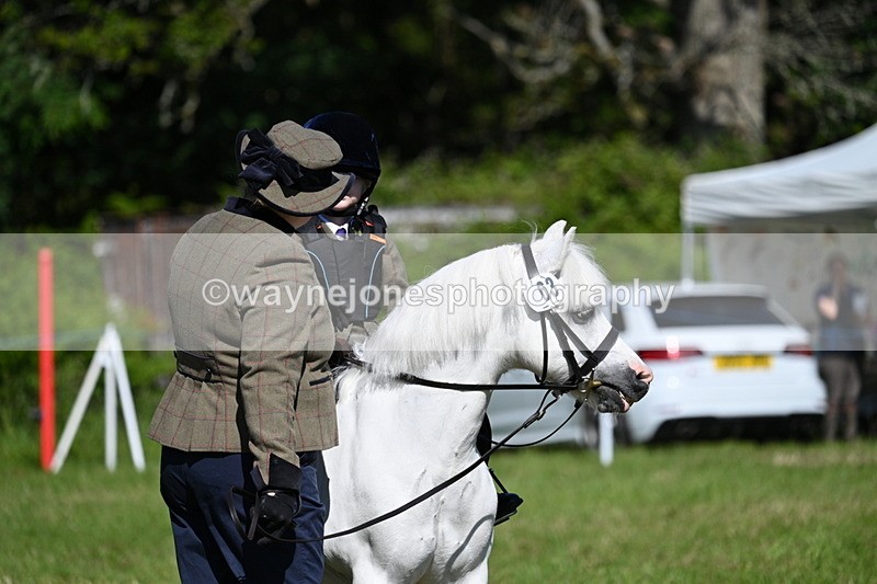 WJ7_0396 - Class 8 First Rally Pony