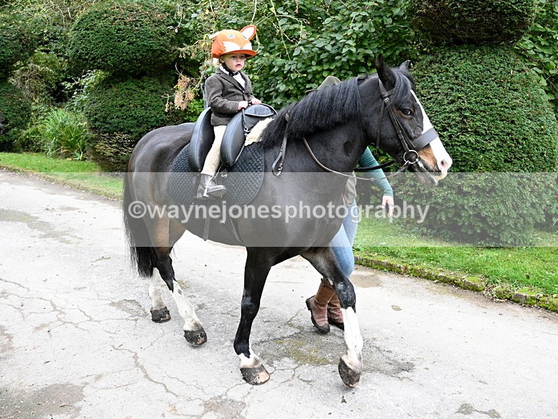 WJ7_6516 - Berks & Bucks - Children's Meet - The Old Farmhouse – Steventon.