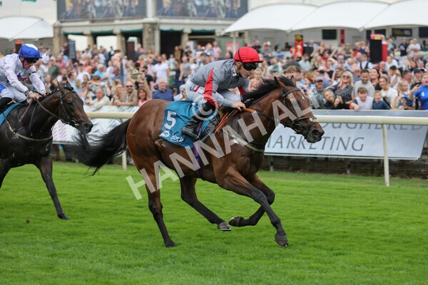 yr04092022r1-28 - Race 1 1.45pm IRE Incentive, It Pays To Buy Irish EBF Novice Stakes