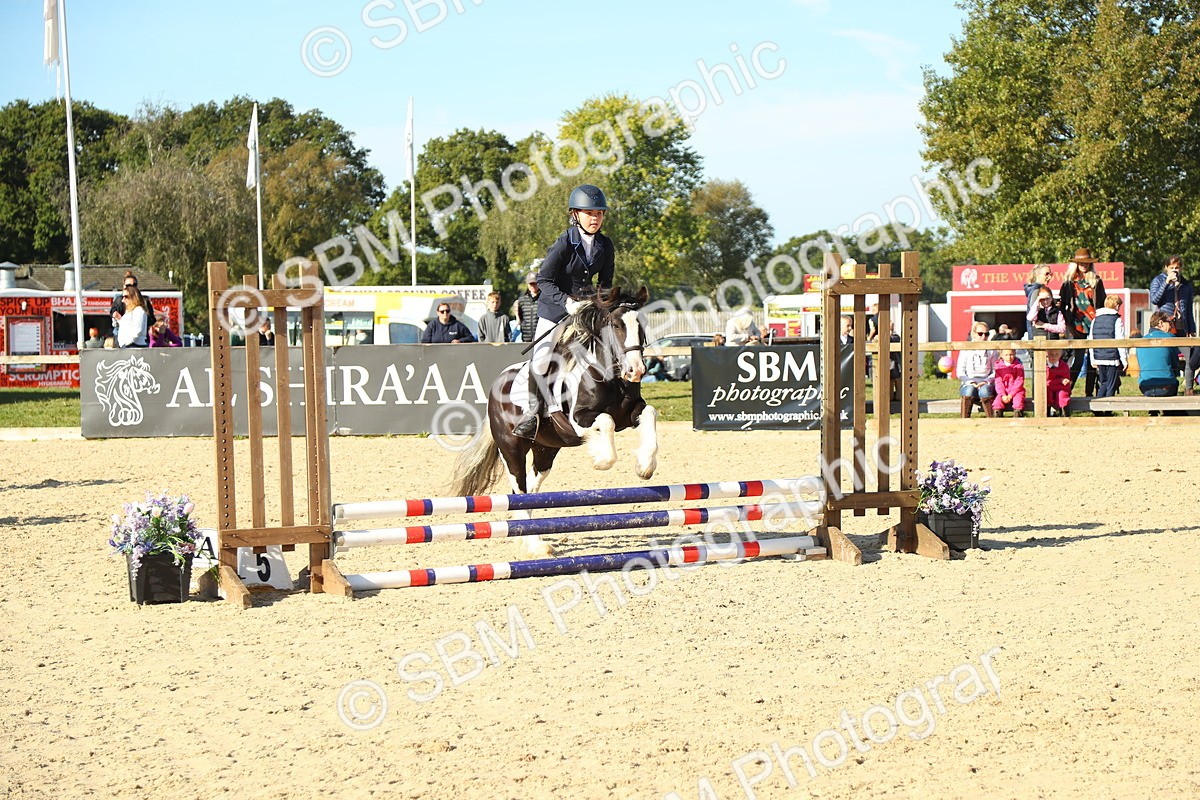 SBM_35926 - J5 - Junior Pony 50cm Championship