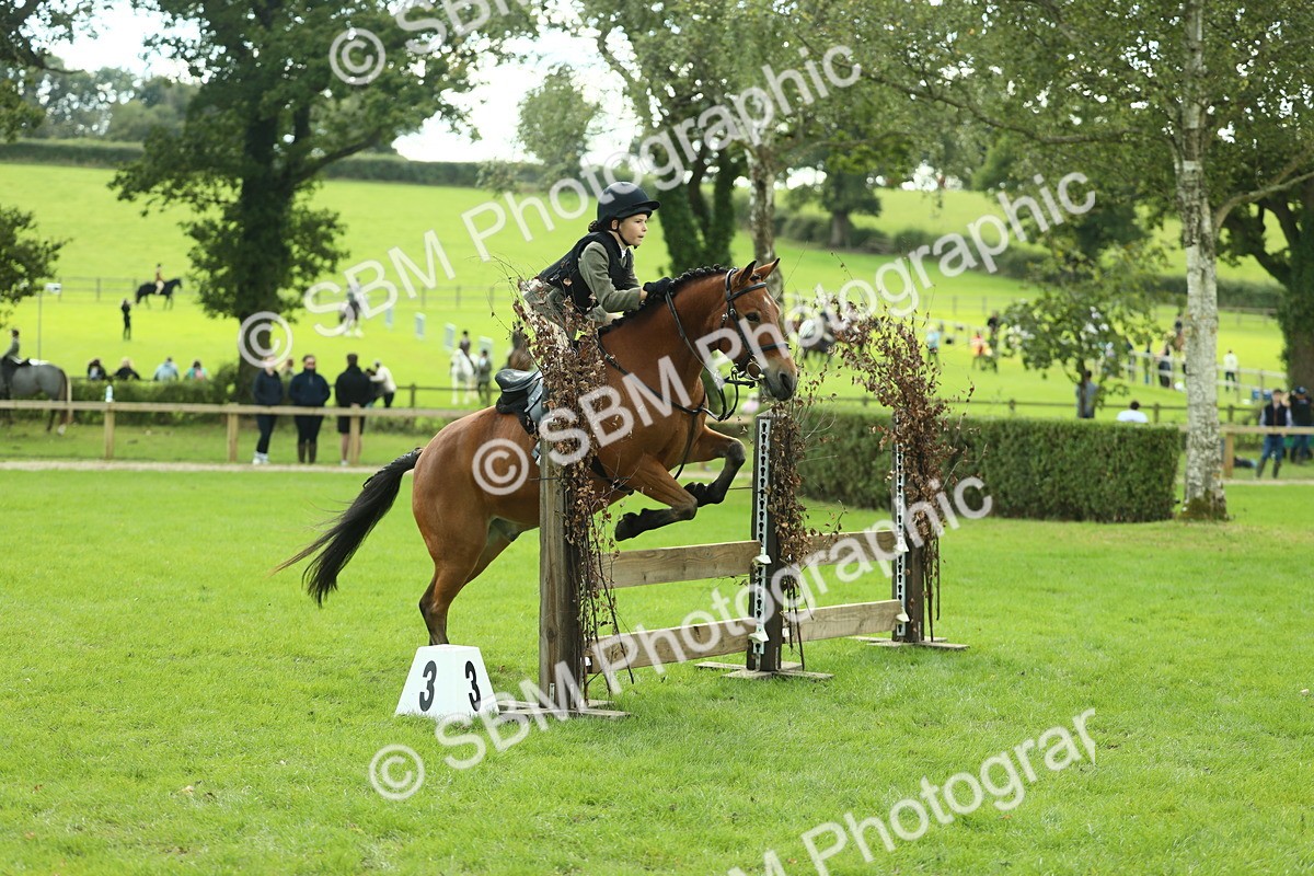 SBM_44608 - S31 - Working Hunter Pony