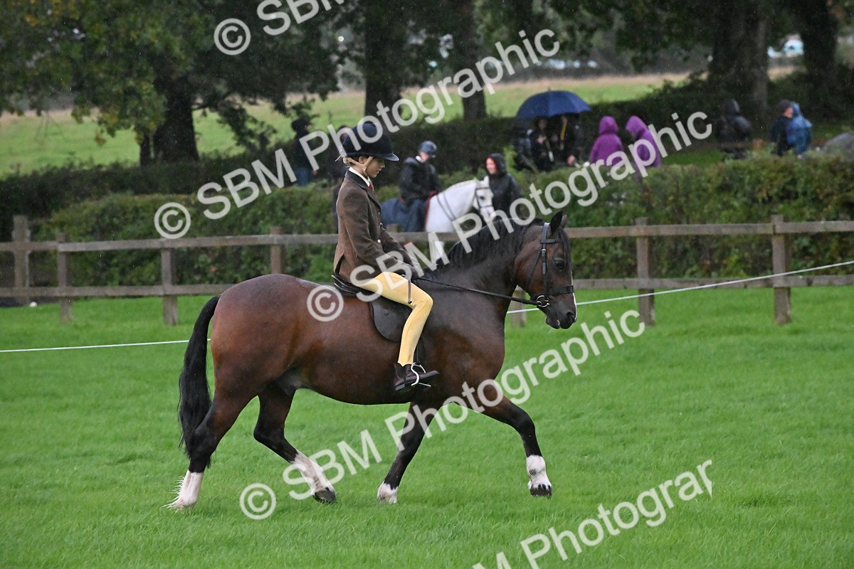 SBM_35671 - S16 - Top Turnout - Ridden