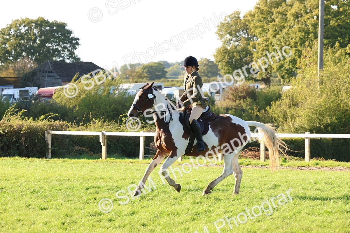 SBM_53019 - S29 - Mature Veteran Ridden