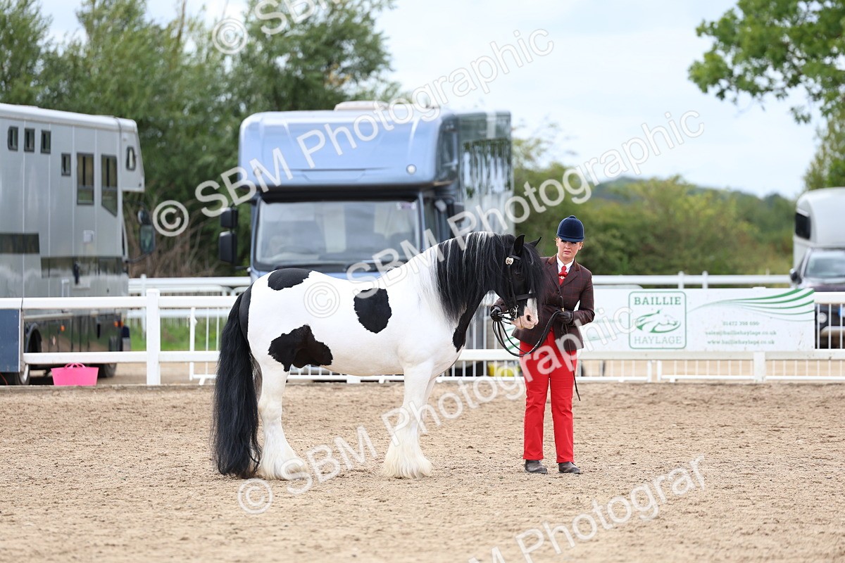 SBM_05862 - Class 29 - IH Veteran Pony