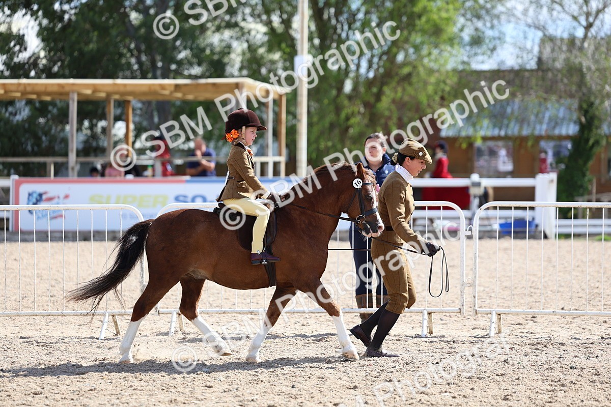 SBM_13015 - Class 309 - Lead Rein Pony