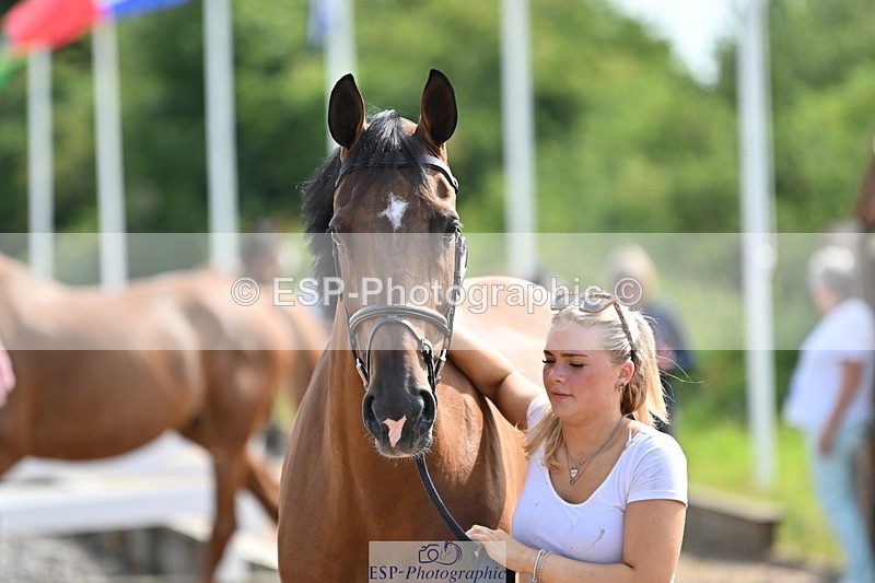 240717A-155510-03187 - Trot Up 3pm to 4pm