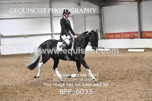 BPP_6033 - ELEM TEST 4