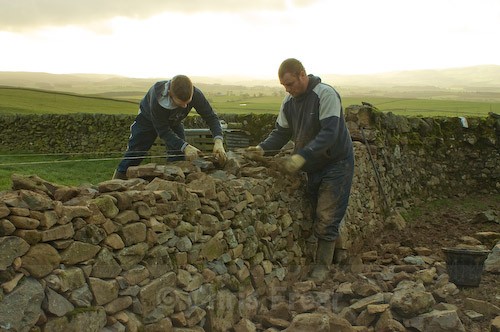 4 - Rab - Drystone Dyker