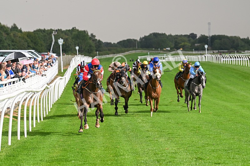 280824-Race 4-Desert Dream-4383 - Race 4