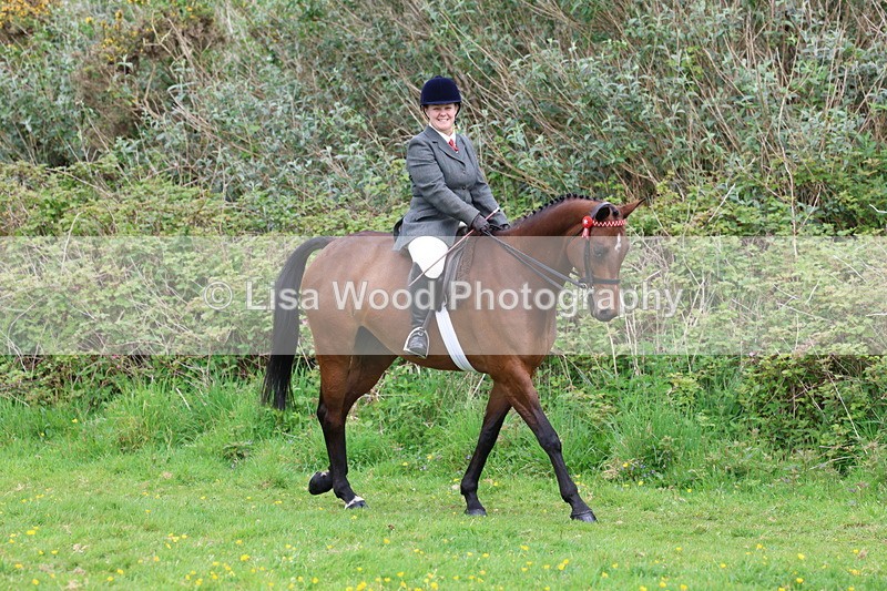 3E7A1672 - Class 9: Riding Club Horse/Pony