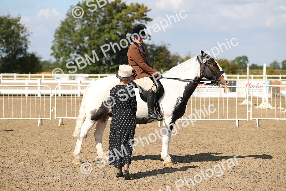 SBM_03192 - Class 44 Riding Club Horse/ Pony