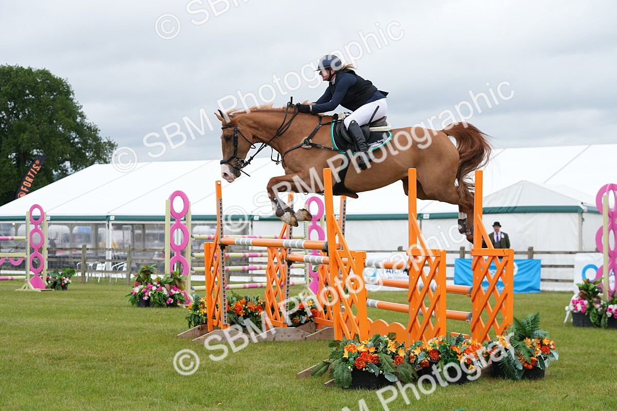 SBM_03295 - Class 201 - British Horse Feeds Speedi Beet Horse of the Year Show Grade  C