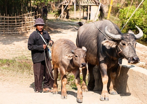  - Burma