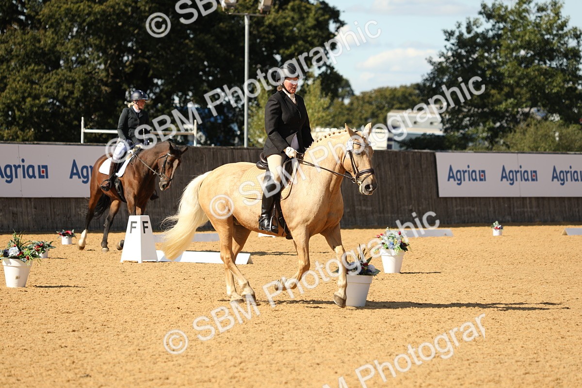 SBM_24566 - D17 - Grand Tour Championship - Novice 27