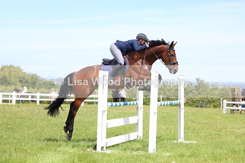 3E7A1366 - Class 12: Senior Foxhunter/1.20 open