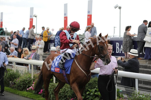 yr20082022r2-17 - Race 2 2.35pm Sky Bet Melrose Stakes