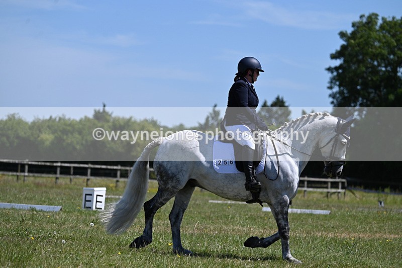 WJ7_0886 - Time 11:30am to 11:49am