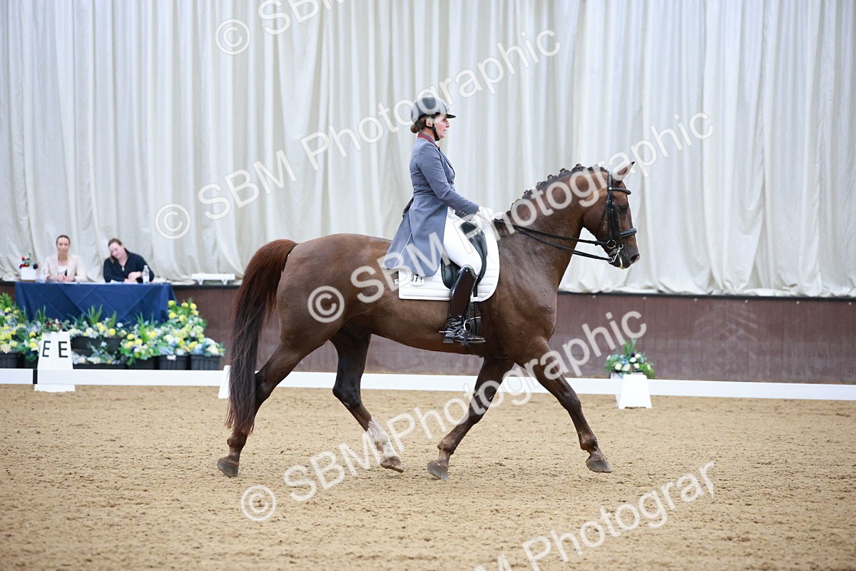SBM_008766 - Class 14 - FEI PSG - 9.30-10.30