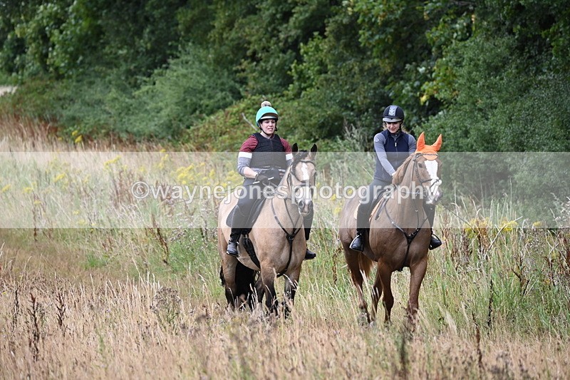 WJ6_2462 - Group 7