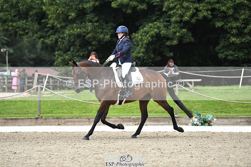 230812-110711-03533 - Cls 6 Novice Silver 10.30 to 11.55 break