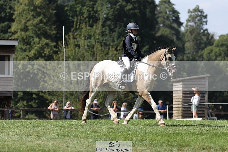 250823A-133412-31317 - Arena D