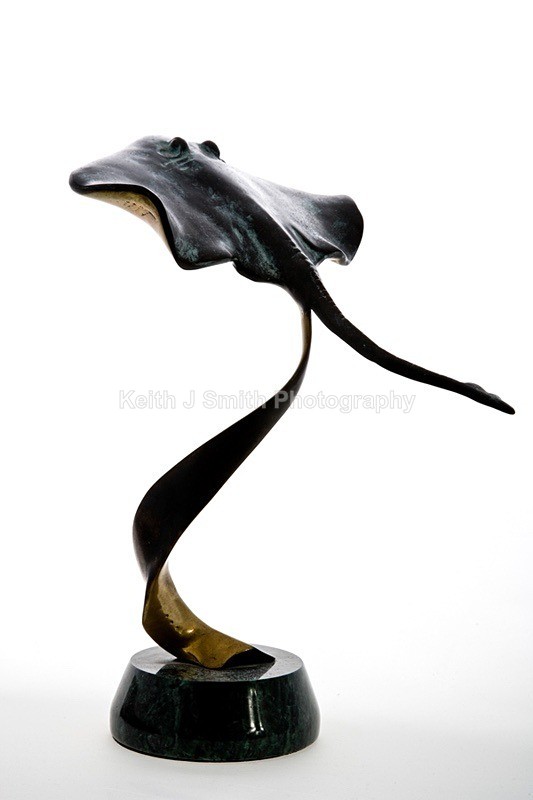 YR6M4342 - Studio Still Life