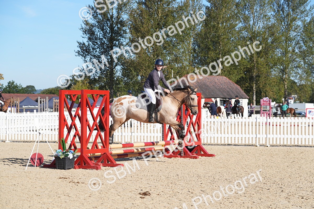 SBM_36103 - J 20 - Junior Horse 50cm Championship