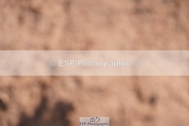 240506A-164734-10250 - Cls 25 Club 1m