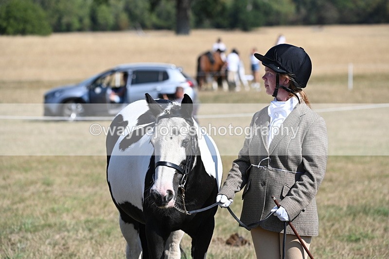 WJ6_7589 - Class 34 Judges Choice