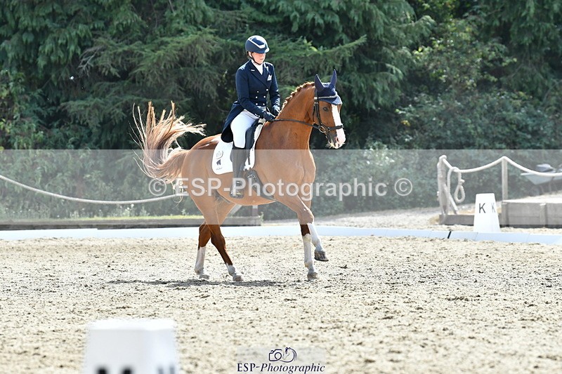 260802A-151839-07357 - Intermediate Bronze