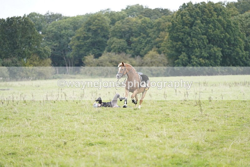 _DSC7909 - Time at Photographer 11:57 to 12:36
