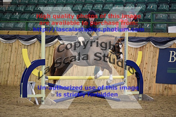 WS_0019 - Class 2a  80cm Qualifier