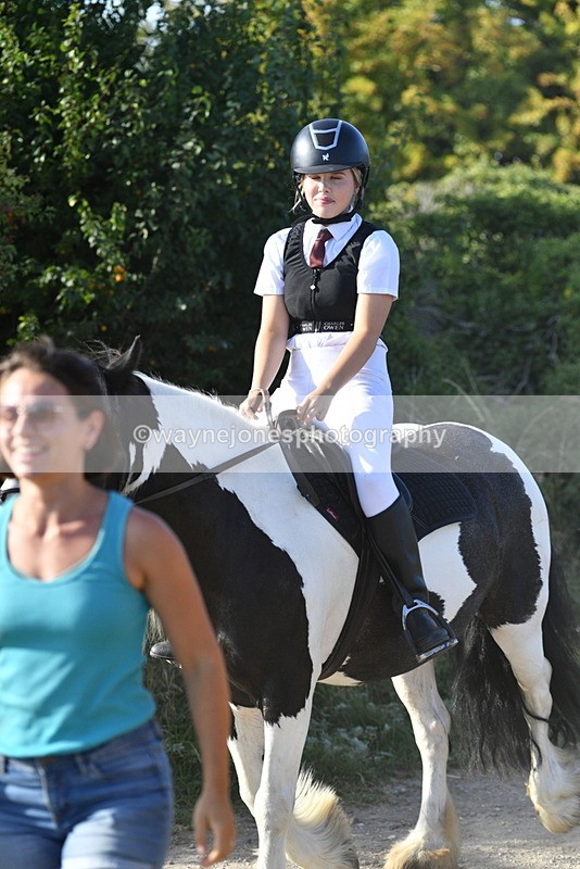WJ5_5068 - Walk out with the hounds
