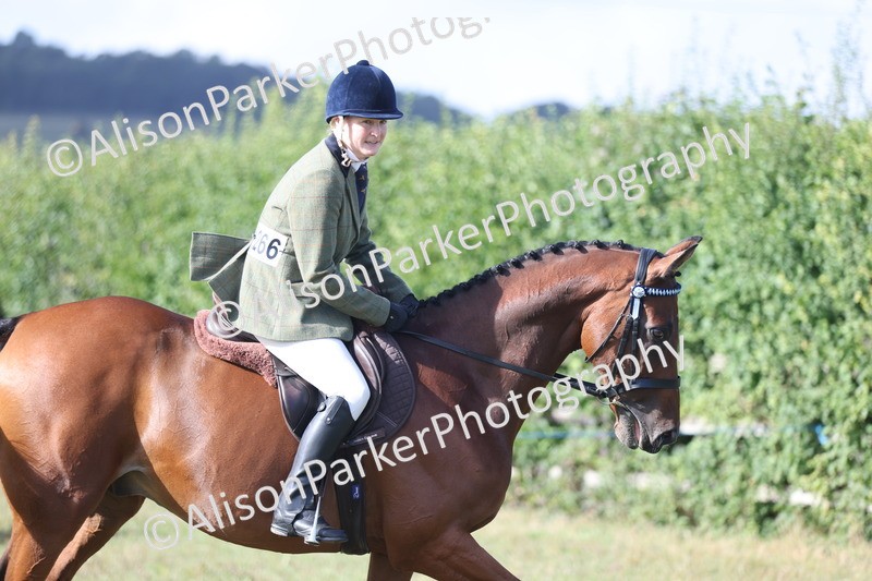 20250831-0848 - Class 14 - Ex Racehorse