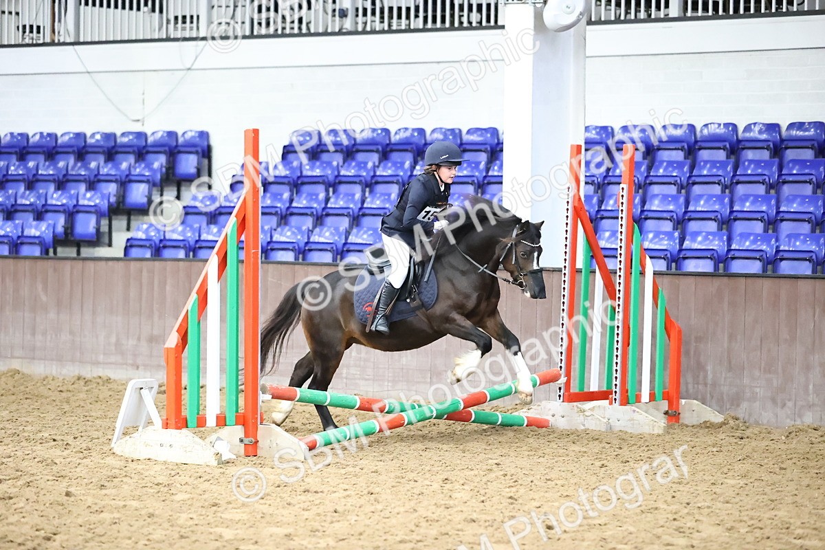 SBM_000143 - Class 2 - The Rug Lady 40cm Area 12 Championship Qualifier