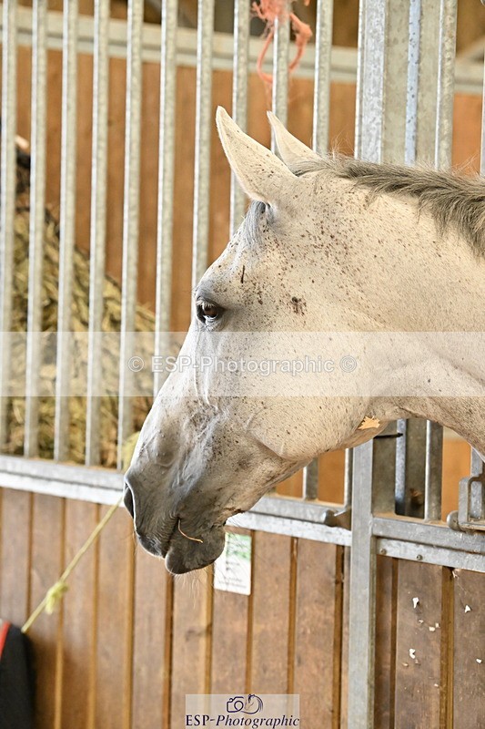 250821B-141246-00496 - Stable Shots and Group Photo
