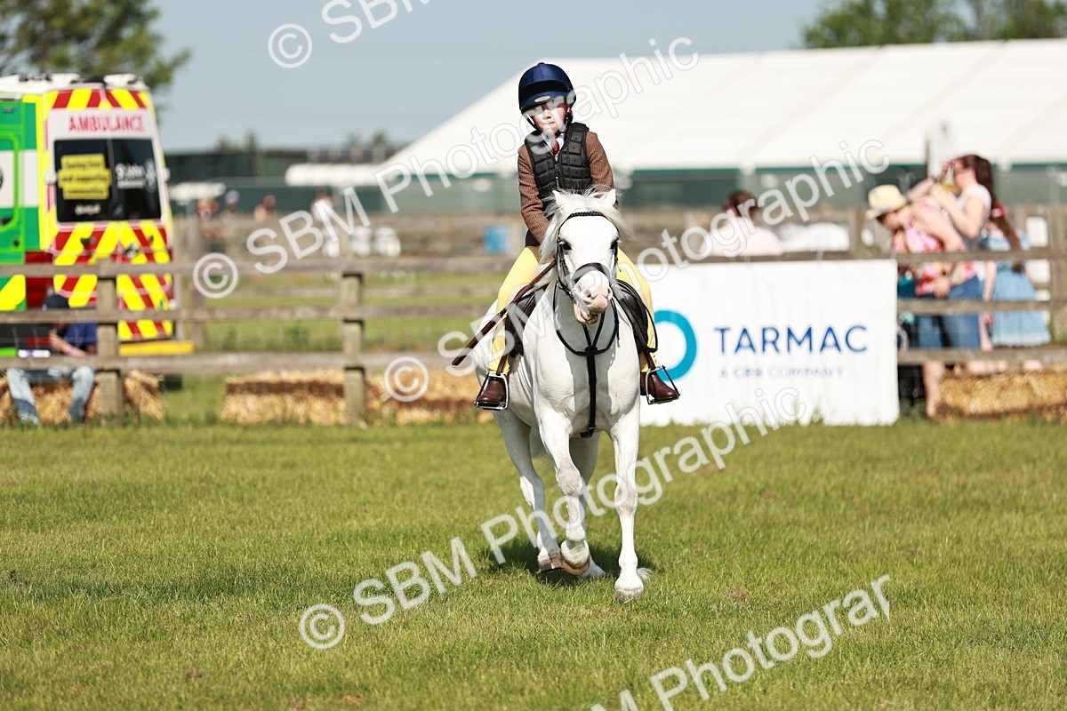 SBM_12642 - Class 106-107 - BSPS LIHS Working Sports Pony