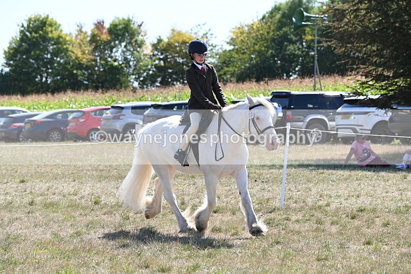 WJ6_8972 - Class 38 Ridden Riding Horse/Pony