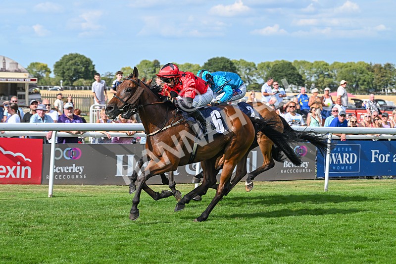 140825-Race 6-Sunny Orange-1832 - Race 6