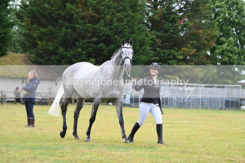 WJ7_6000 - Class 4a Prettiest Mare over 14hh
