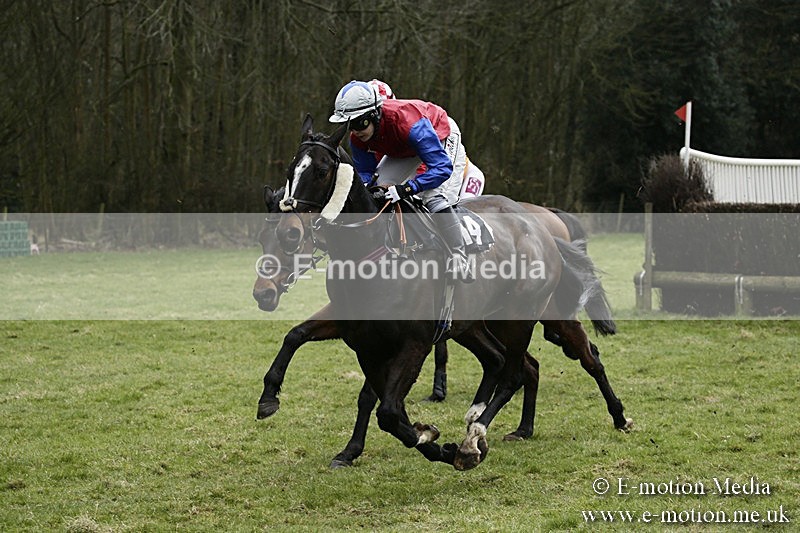 PtP 110318 121 - Hampshire Hunt Point-to-Point Hackwood Park 11/03/18