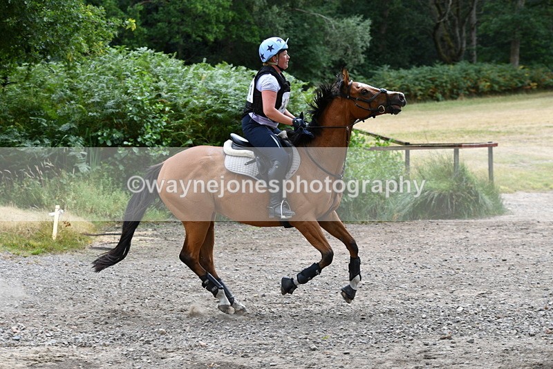 WJ5_1848 - XC Time 12:05 to 12:55